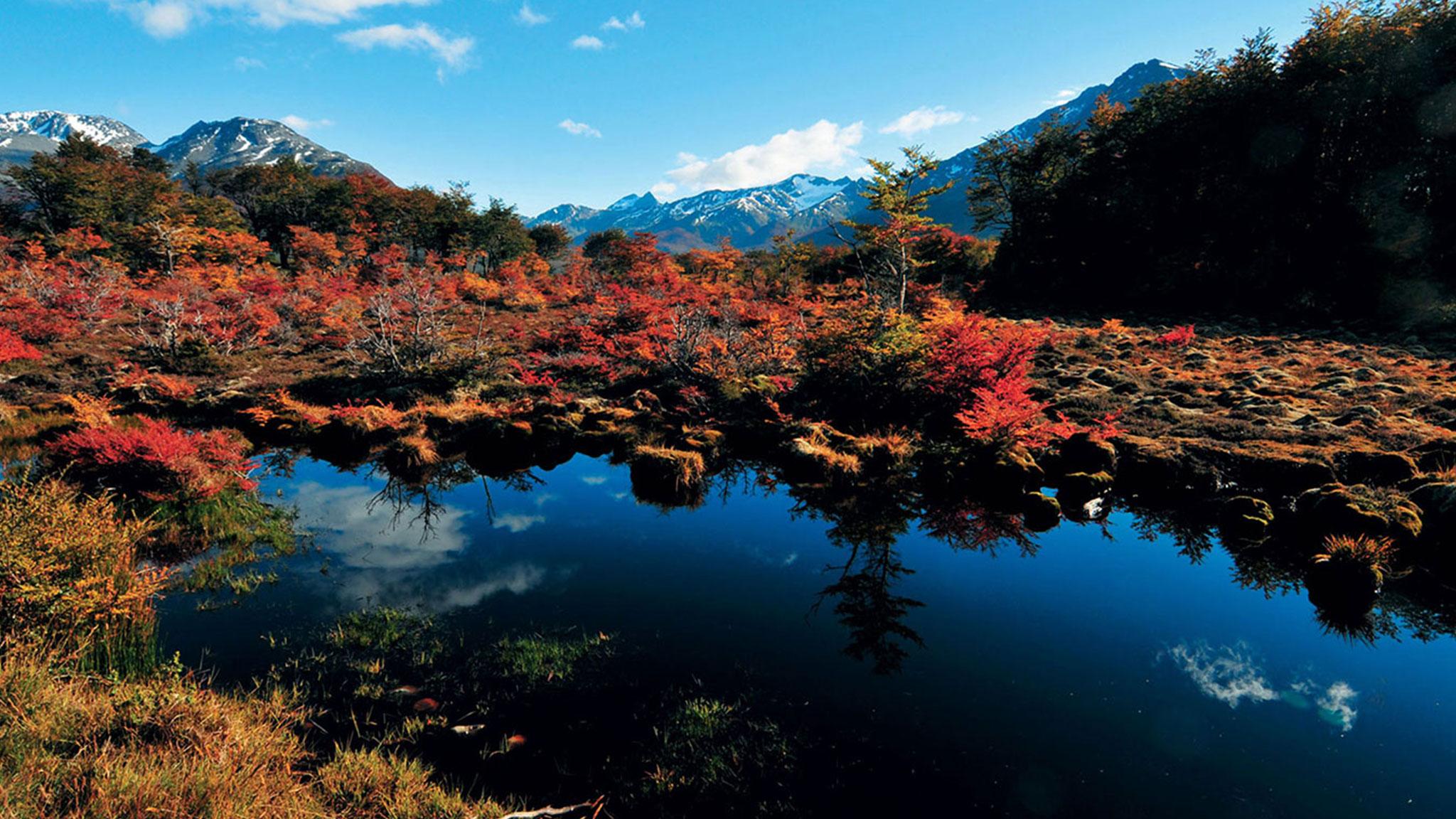 Arakur Ushuaia Resort & Spa Ngoại thất bức ảnh Autumn colours at the Ozegahara